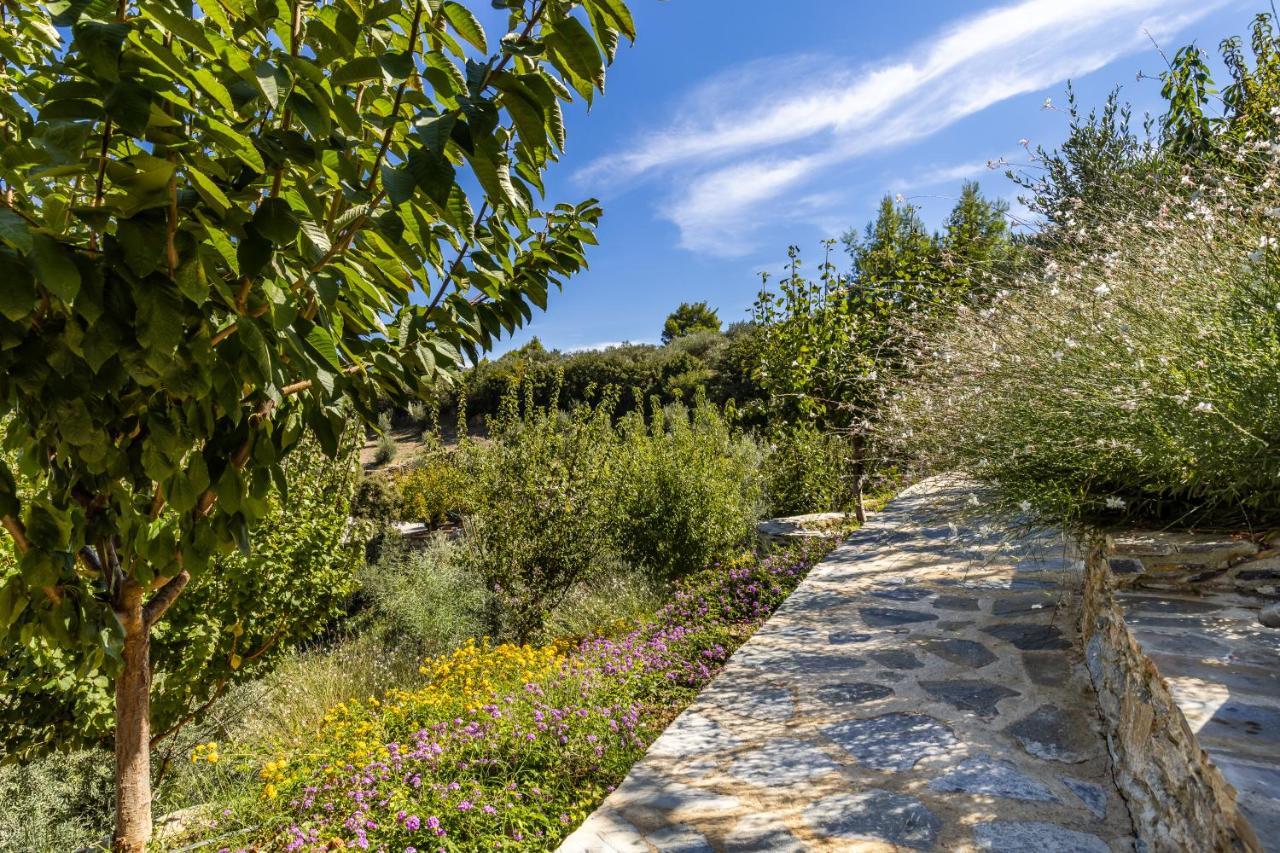 Villa Politimi Luxury Retreat Скопелос Экстерьер фото